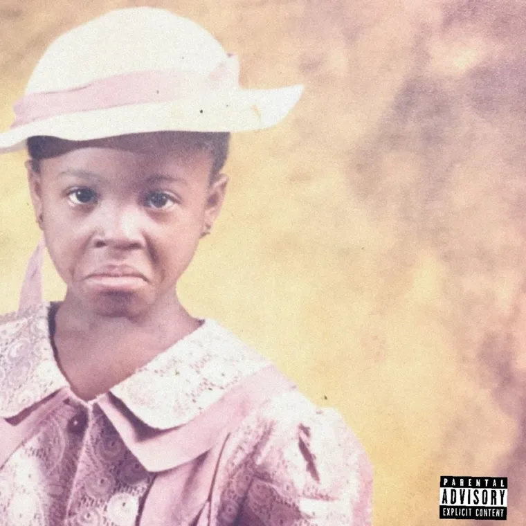 Fake Supporter cover art