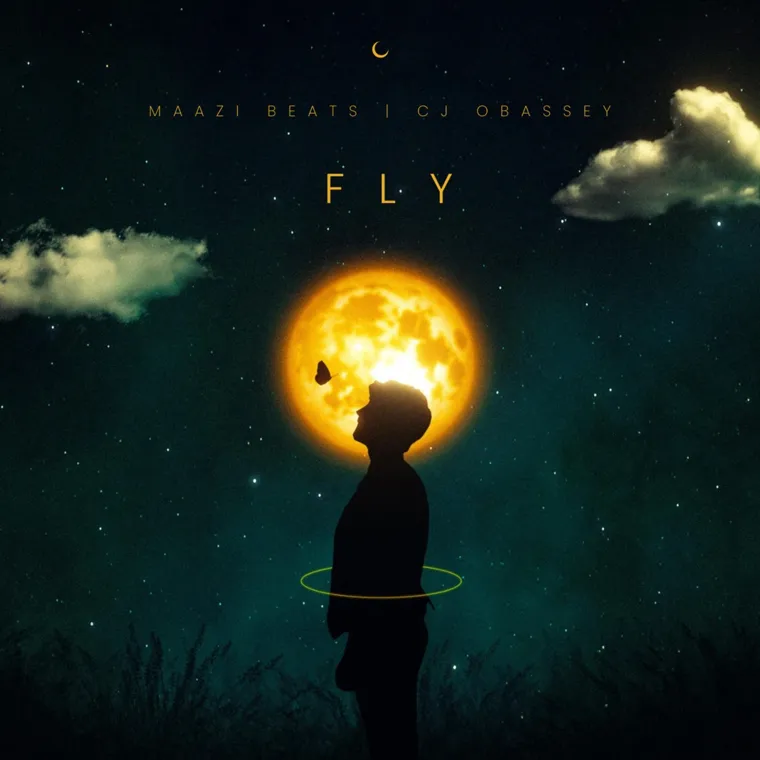 Fly cover art