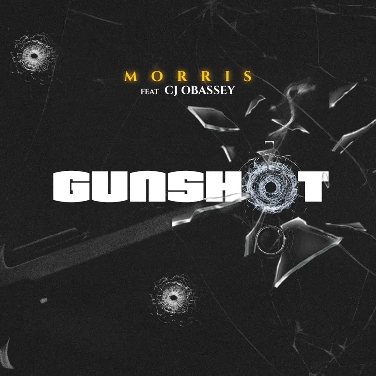 Gunshot cover art