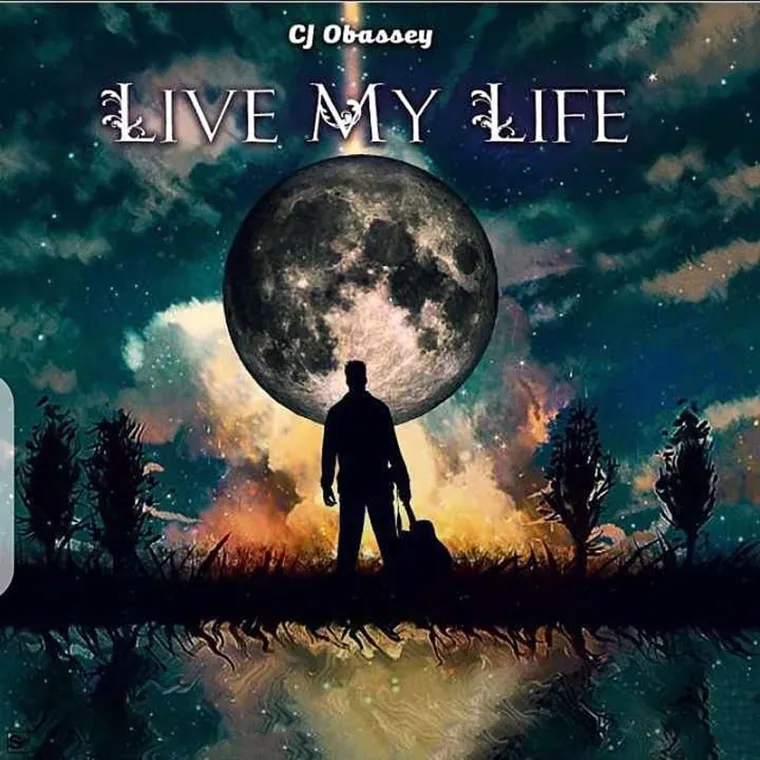 Live My Life cover art